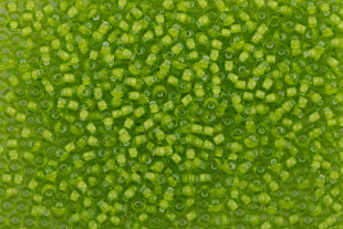 Бисер Чехия круглый 08/ 0 331- 19001 2, 9 мм 50г 55226 св. салатовый